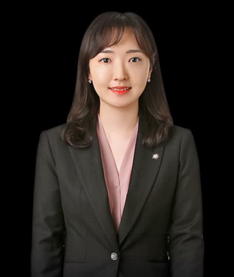 강릉기업세무소송변호사 undefined